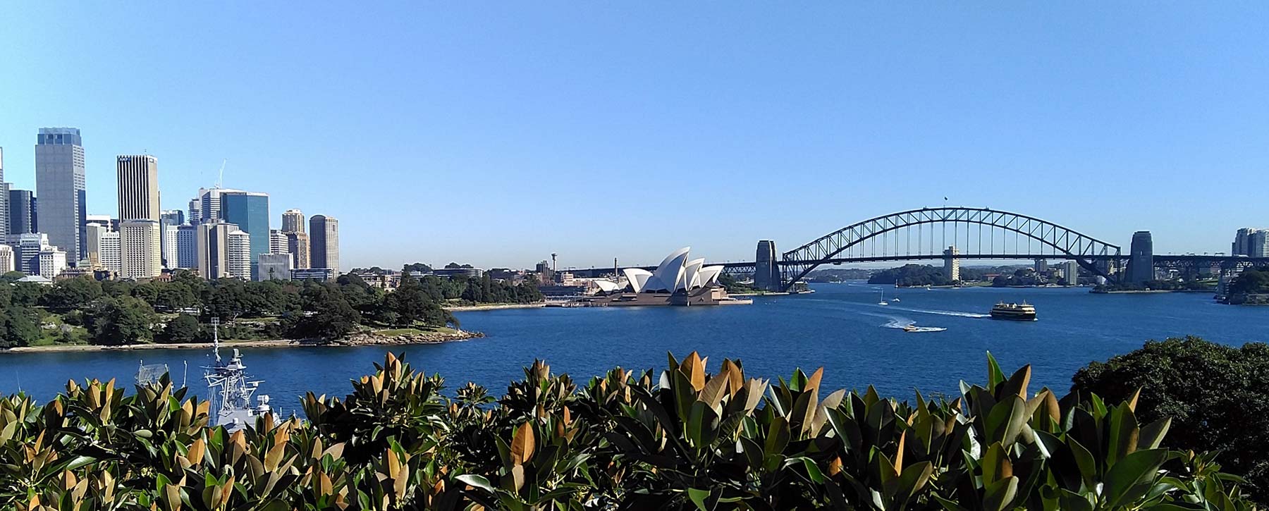 banner-harbour-bridge